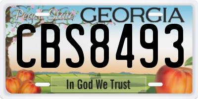 GA license plate CBS8493