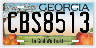 GA license plate CBS8513