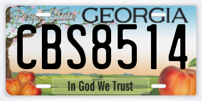 GA license plate CBS8514