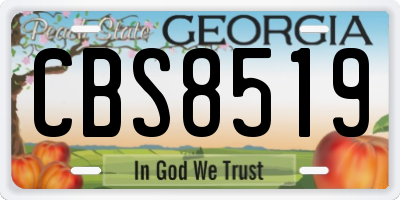 GA license plate CBS8519