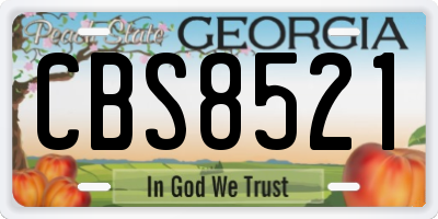 GA license plate CBS8521