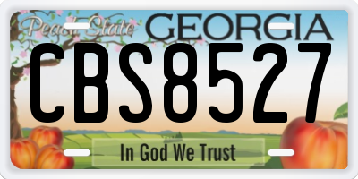 GA license plate CBS8527