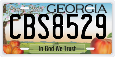GA license plate CBS8529