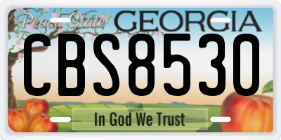 GA license plate CBS8530