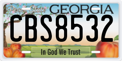 GA license plate CBS8532