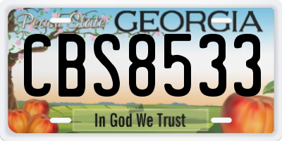 GA license plate CBS8533