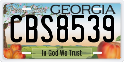 GA license plate CBS8539
