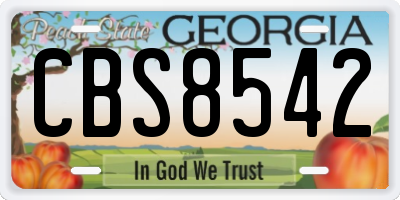 GA license plate CBS8542