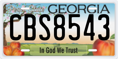 GA license plate CBS8543