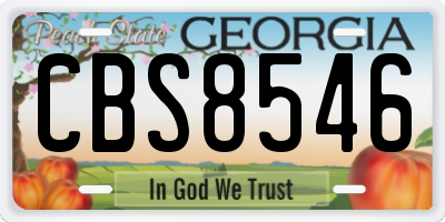 GA license plate CBS8546