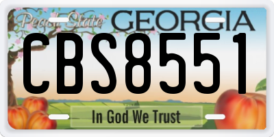 GA license plate CBS8551