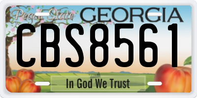 GA license plate CBS8561