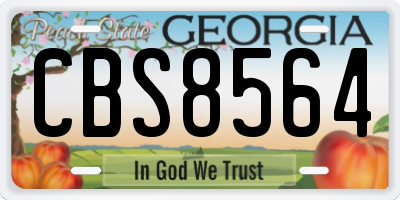 GA license plate CBS8564
