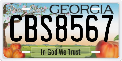 GA license plate CBS8567