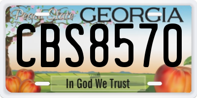 GA license plate CBS8570