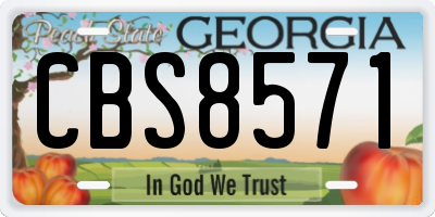 GA license plate CBS8571