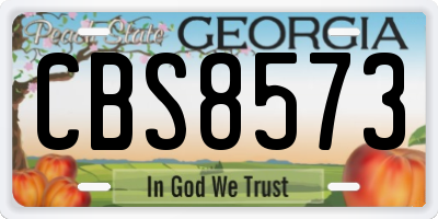 GA license plate CBS8573