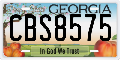 GA license plate CBS8575
