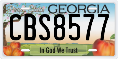 GA license plate CBS8577