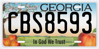 GA license plate CBS8593