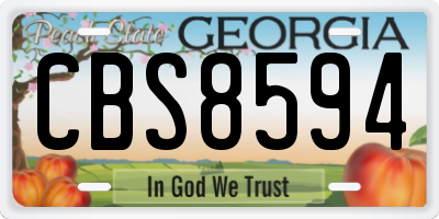 GA license plate CBS8594