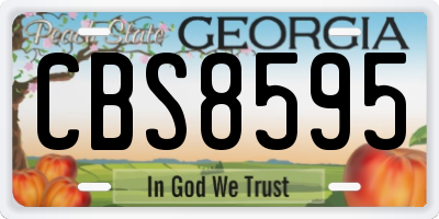 GA license plate CBS8595
