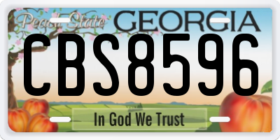 GA license plate CBS8596