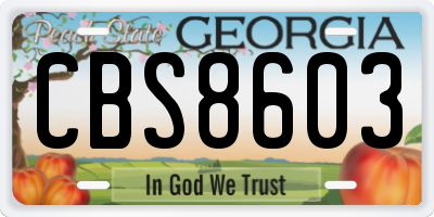 GA license plate CBS8603