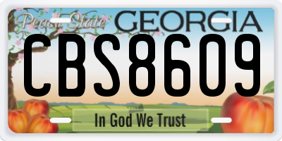 GA license plate CBS8609