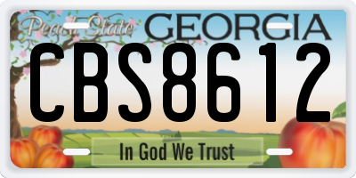 GA license plate CBS8612