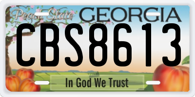 GA license plate CBS8613