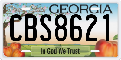 GA license plate CBS8621