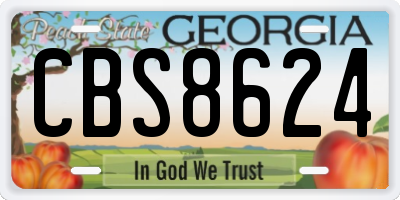 GA license plate CBS8624
