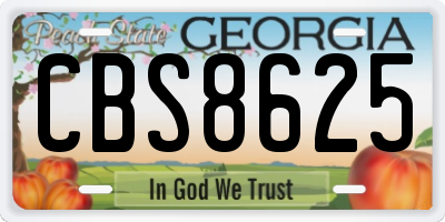 GA license plate CBS8625