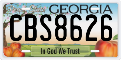 GA license plate CBS8626