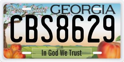 GA license plate CBS8629