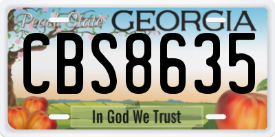 GA license plate CBS8635
