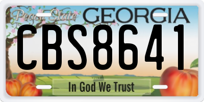 GA license plate CBS8641
