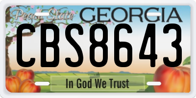 GA license plate CBS8643