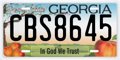 GA license plate CBS8645
