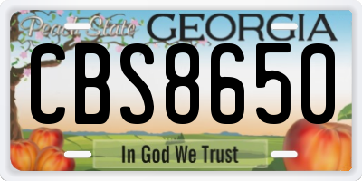 GA license plate CBS8650