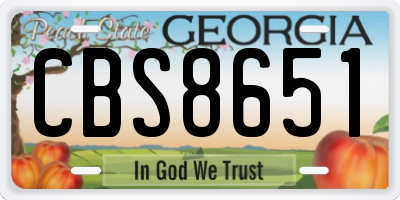 GA license plate CBS8651