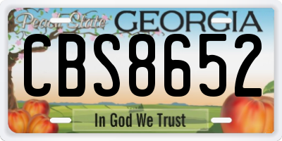 GA license plate CBS8652