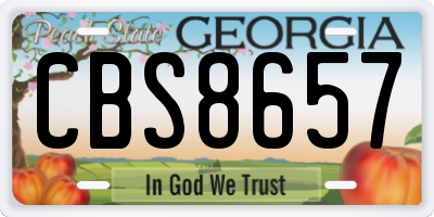 GA license plate CBS8657