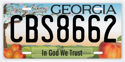 GA license plate CBS8662