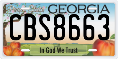 GA license plate CBS8663