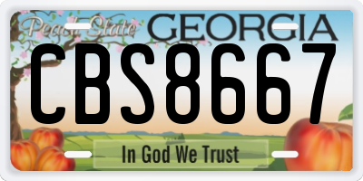 GA license plate CBS8667