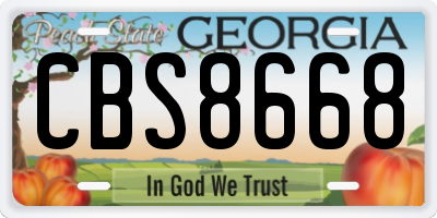 GA license plate CBS8668