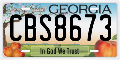 GA license plate CBS8673