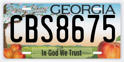 GA license plate CBS8675